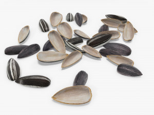 Sunflower seeds 08 Modelo 3D