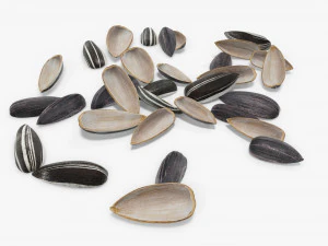 Sunflower seeds 08 3D Model