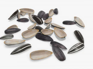 Sunflower seeds 08 3D Model