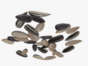 Sunflower seeds 08 Modelo 3D