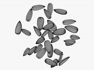 Sunflower seeds 08 Modelo 3D