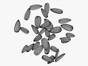 Sunflower seeds 08 3D Model