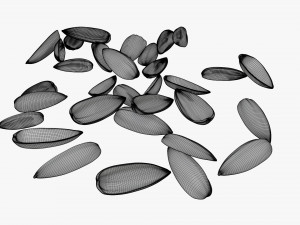 Sunflower seeds 08 Modelo 3D