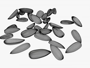 Sunflower seeds 08 3D Model