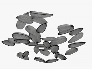 Sunflower seeds 08 Modelo 3D