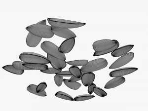 Sunflower seeds 08 3D Model