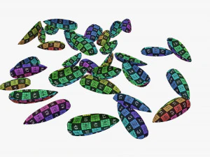 Sunflower seeds 08 3D Model
