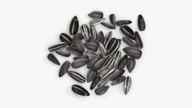 Sunflower seeds 09 3D Model .c4d .max .obj .3ds .fbx .stl .blend 