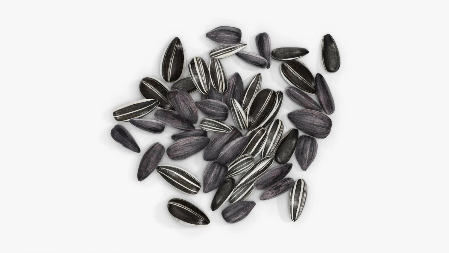 Sunflower seeds 09 3D Model .c4d .max .obj .3ds .fbx .stl .blend