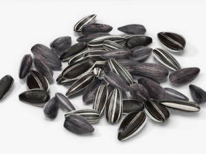 Sunflower seeds 09 3D Model