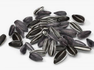 Sunflower seeds 09 3D Model