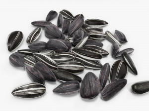 Sunflower seeds 09 3D Model