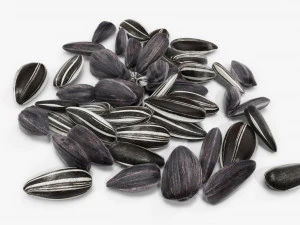 Sunflower seeds 09 3D Model