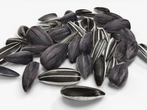 Sunflower seeds 09 3D Model