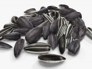 Sunflower seeds 09 3D Model