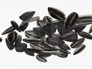 Sunflower seeds 09 3D Model
