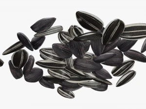 Sunflower seeds 09 3D Model