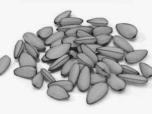 Sunflower seeds 09 3D Model