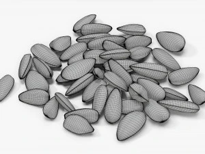 Sunflower seeds 09 3D Model
