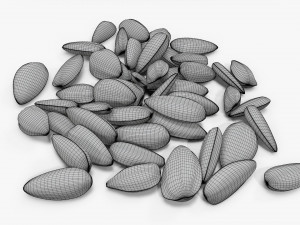 Sunflower seeds 09 3D Model