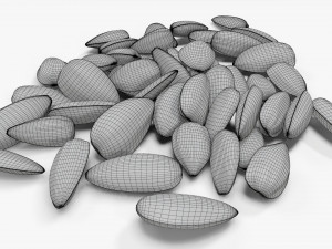 Sunflower seeds 09 3D Model