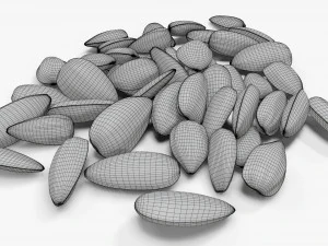 Sunflower seeds 09 3D Model