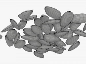 Sunflower seeds 09 3D Model