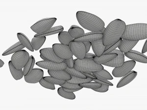 Sunflower seeds 09 3D Model