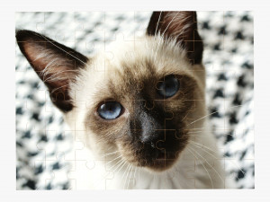 Jigsaw Puzzle 48 pieces Modelo 3D