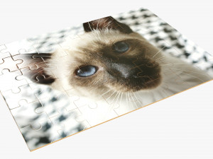 Jigsaw Puzzle 48 pieces 3D-Modell