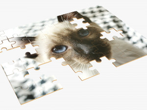 Jigsaw Puzzle 48 pieces 3D-Modell