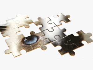 Jigsaw Puzzle 48 pieces 3D-Modell