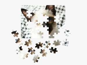 Jigsaw Puzzle 48 pieces 3 3Dモデル