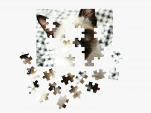Jigsaw Puzzle 48 pieces 3 3D Model