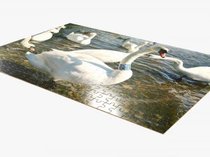 Jigsaw Puzzle 280 pieces 3D Model
