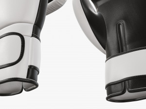 Leather boxing gloves 3D Модель