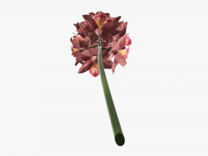 Orchid branch with flowers 3D 모델