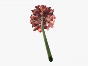 Orchid branch with flowers 3D Model