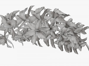 Orchid branch with flowers 3D 모델