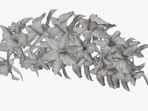 Orchid branch with flowers 3D Model