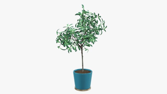 Potted decorative tree 3D Модель .c4d .max .obj .3ds .fbx .stl .blend 