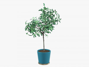 Potted decorative tree 3Dモデル
