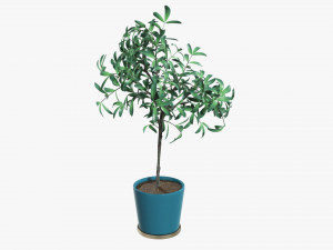 Potted decorative tree 3D Модель
