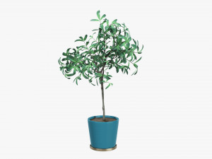 Potted decorative tree 3D Модель