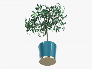 盆栽装饰树 3D 模型