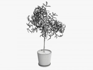 Potted decorative tree 3D Модель