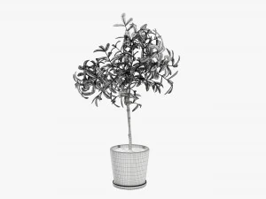 盆栽装饰树 3D 模型