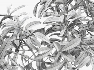 Potted decorative tree 3D Модель