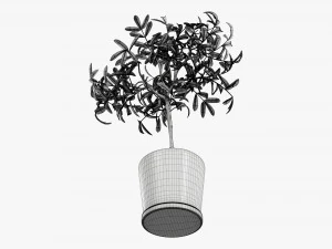 盆栽装饰树 3D 模型