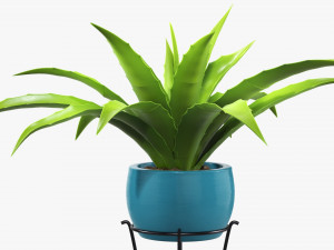 Potted plant 04 on console 3D 模型